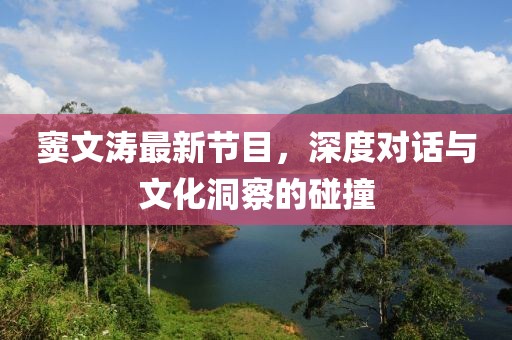窦文涛最新节目，深度对话与文化洞察的碰撞