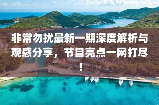 非常勿扰最新一期深度解析与观感分享，节目亮点一网打尽！