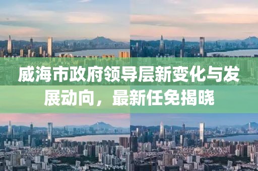 威海市政府领导层新变化与发展动向，最新任免揭晓
