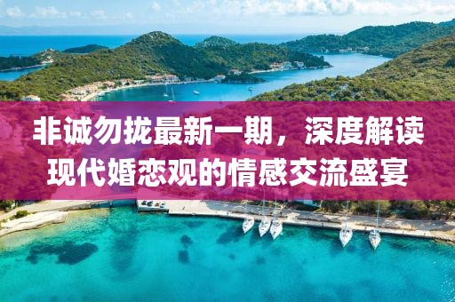 非诚勿拢最新一期，深度解读现代婚恋观的情感交流盛宴