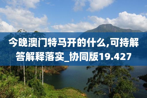 今晚澳门特马开的什么,可持解答解释落实_协同版19.427