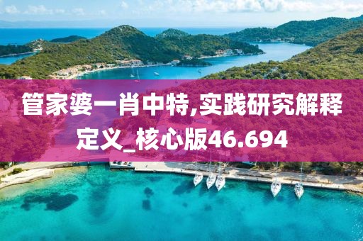 管家婆一肖中特,实践研究解释定义_核心版46.694