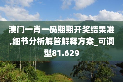 澳门一肖一码期期开奖结果准,细节分析解答解释方案_可调型81.629