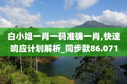 白小姐一肖一码准确一肖,快速响应计划解析_同步款86.071