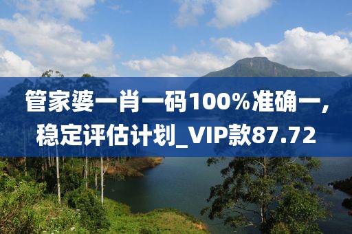 管家婆一肖一码100%准确一,稳定评估计划_VIP款87.72