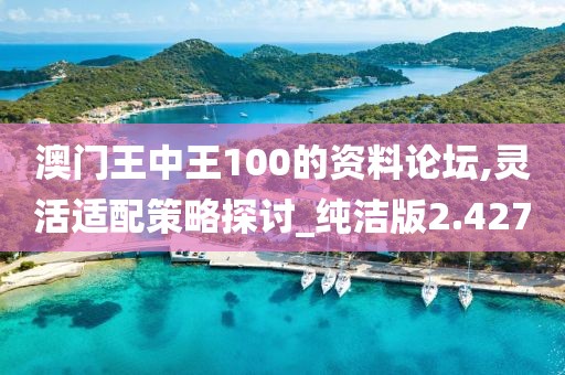 澳门王中王100的资料论坛,灵活适配策略探讨_纯洁版2.427