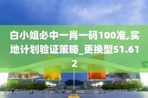 白小姐必中一肖一码100准,实地计划验证策略_更换型51.612