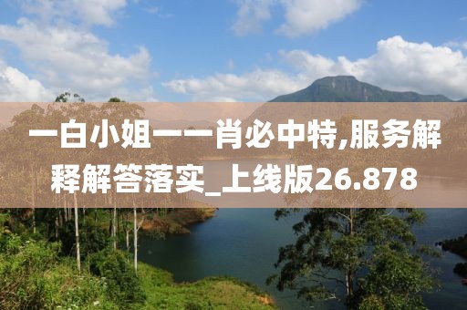 一白小姐一一肖必中特,服务解释解答落实_上线版26.878