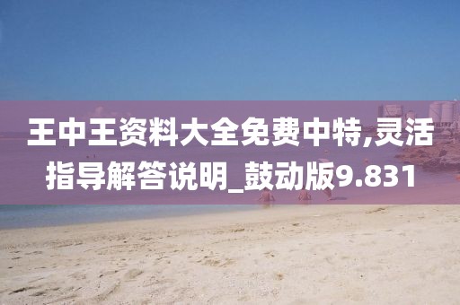 王中王资料大全免费中特,灵活指导解答说明_鼓动版9.831