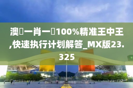 澳門一肖一碼100%精准王中王,快速执行计划解答_MX版23.325