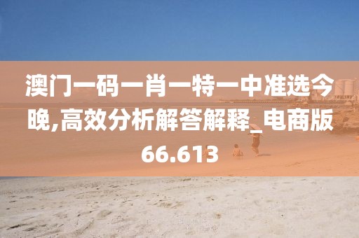 澳门一码一肖一特一中准选今晚,高效分析解答解释_电商版66.613