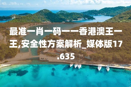 最准一肖一码一一香港澳王一王,安全性方案解析_媒体版17.635