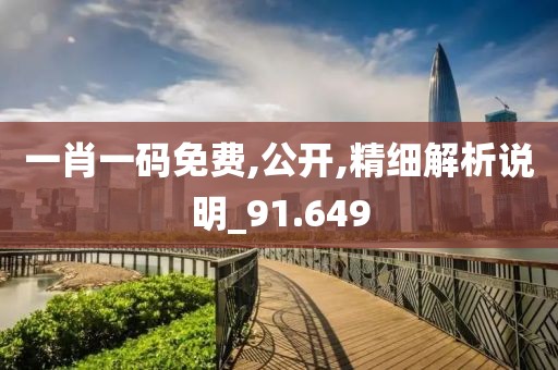 一肖一码免费,公开,精细解析说明_91.649