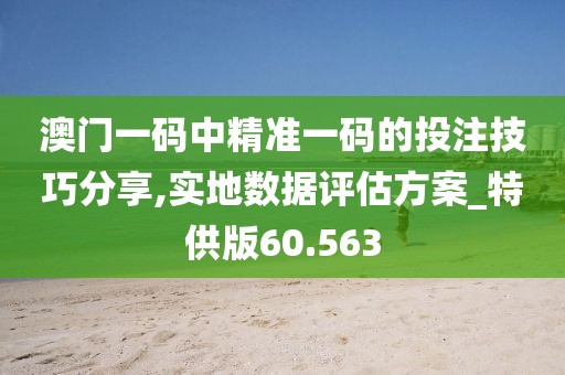 澳门一码中精准一码的投注技巧分享,实地数据评估方案_特供版60.563