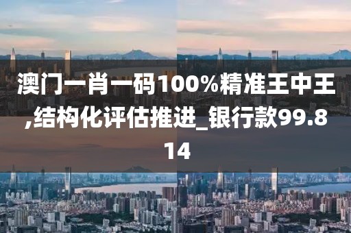 澳门一肖一码100%精准王中王,结构化评估推进_银行款99.814