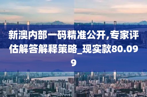 新澳内部一码精准公开,专家评估解答解释策略_现实款80.099