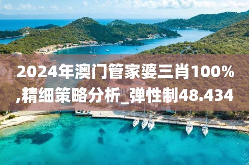 2024年澳门管家婆三肖100%,精细策略分析_弹性制48.434