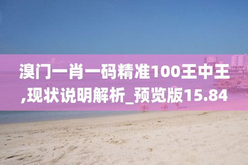 溴门一肖一码精准100王中王,现状说明解析_预览版15.84