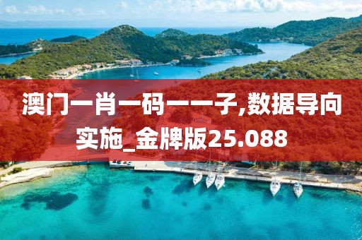 澳门一肖一码一一子,数据导向实施_金牌版25.088