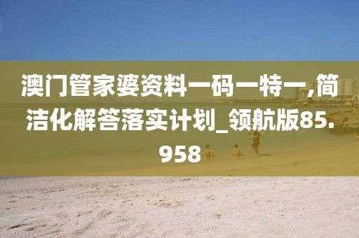 澳门管家婆资料一码一特一,简洁化解答落实计划_领航版85.958