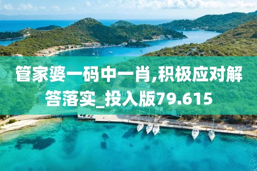 管家婆一码中一肖,积极应对解答落实_投入版79.615