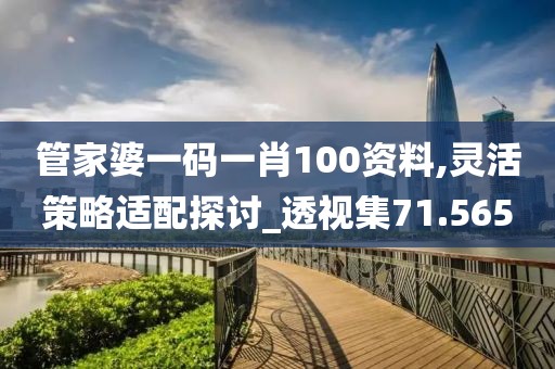 管家婆一码一肖100资料,灵活策略适配探讨_透视集71.565