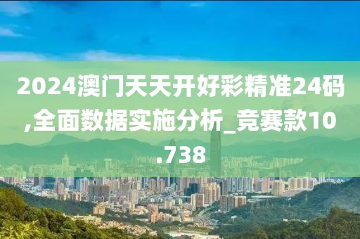 2024澳门天天开好彩精准24码,全面数据实施分析_竞赛款10.738