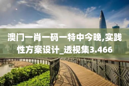 澳门一肖一码一特中今晚,实践性方案设计_透视集3.466