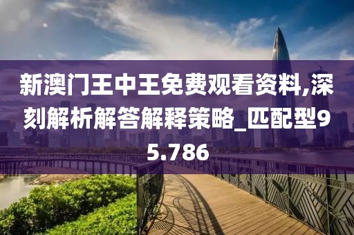 新澳门王中王免费观看资料,深刻解析解答解释策略_匹配型95.786