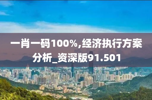一肖一码100%,经济执行方案分析_资深版91.501