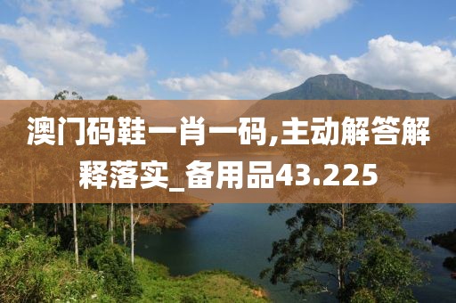 澳门码鞋一肖一码,主动解答解释落实_备用品43.225