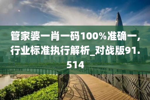 管家婆一肖一码100%准确一,行业标准执行解析_对战版91.514
