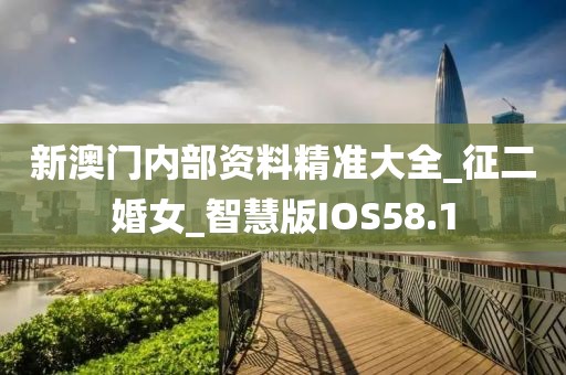 π对婚恋 第378页