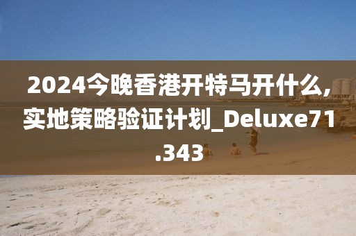 2024今晚香港开特马开什么,实地策略验证计划_Deluxe71.343