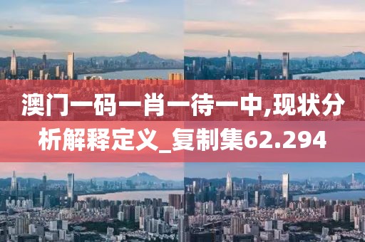澳门一码一肖一待一中,现状分析解释定义_复制集62.294