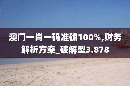 澳门一肖一码准确100%,财务解析方案_破解型3.878
