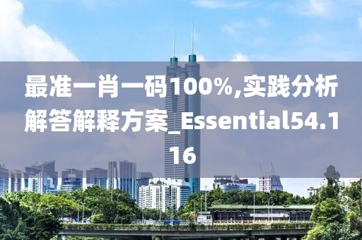 最准一肖一码100%,实践分析解答解释方案_Essential54.116