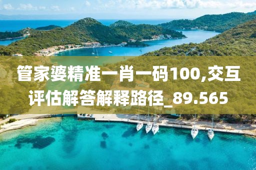 管家婆精准一肖一码100,交互评估解答解释路径_89.565