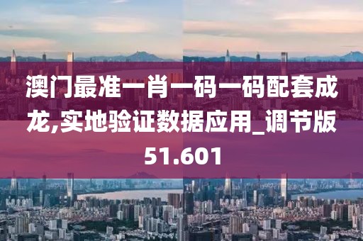 澳门最准一肖一码一码配套成龙,实地验证数据应用_调节版51.601