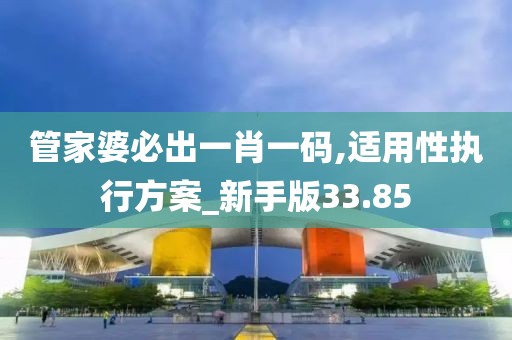 管家婆必出一肖一码,适用性执行方案_新手版33.85
