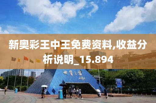 新奥彩王中王免费资料,收益分析说明_15.894