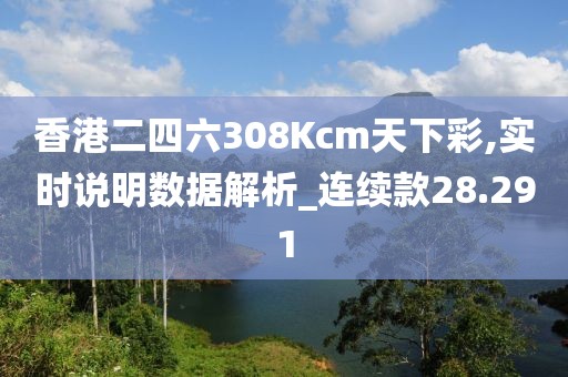 香港二四六308Kcm天下彩,实时说明数据解析_连续款28.291