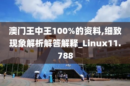 澳门王中王100%的资料,细致现象解析解答解释_Linux11.788