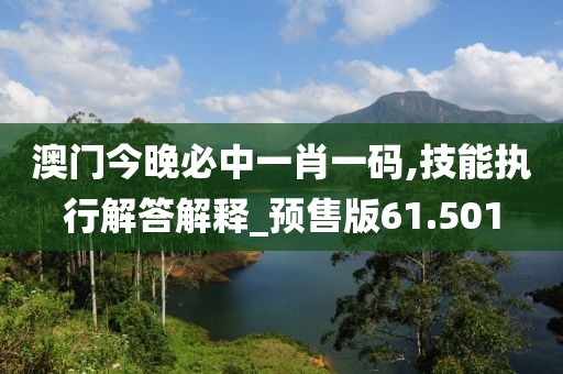 澳门今晚必中一肖一码,技能执行解答解释_预售版61.501
