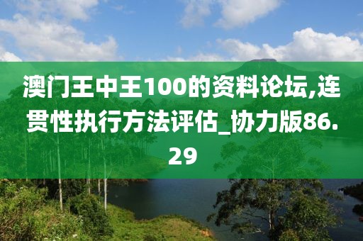 澳门王中王100的资料论坛,连贯性执行方法评估_协力版86.29
