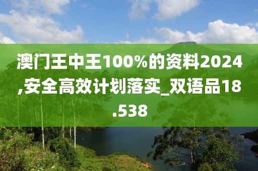 澳门王中王100%的资料2024,安全高效计划落实_双语品18.538