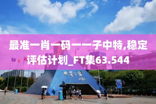 最准一肖一码一一子中特,稳定评估计划_FT集63.544