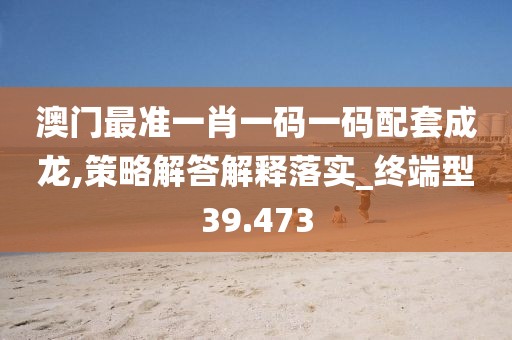 澳门最准一肖一码一码配套成龙,策略解答解释落实_终端型39.473
