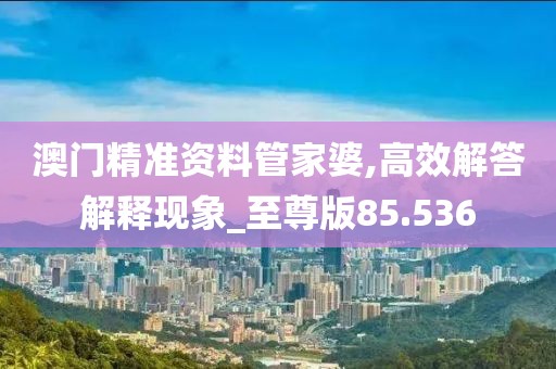 澳门精准资料管家婆,高效解答解释现象_至尊版85.536