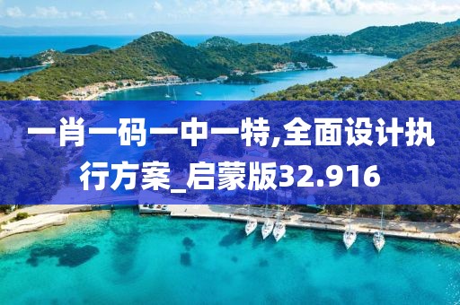 一肖一码一中一特,全面设计执行方案_启蒙版32.916